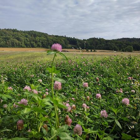 Lekanders Baer & Boende Tyfta Kültér fotó