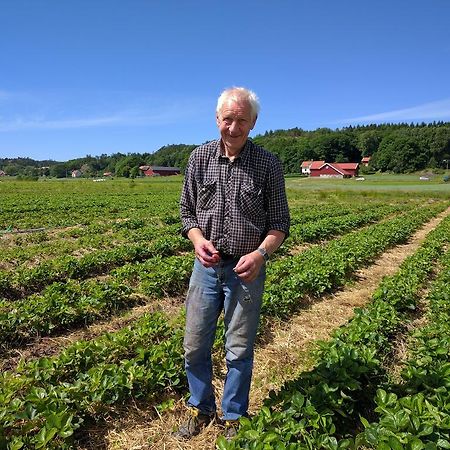 Lekanders Baer & Boende Tyfta Kültér fotó