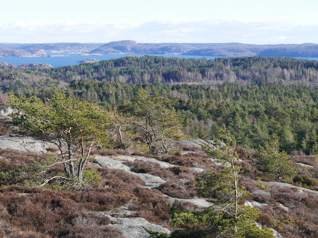 Lekanders Baer & Boende Tyfta Kültér fotó