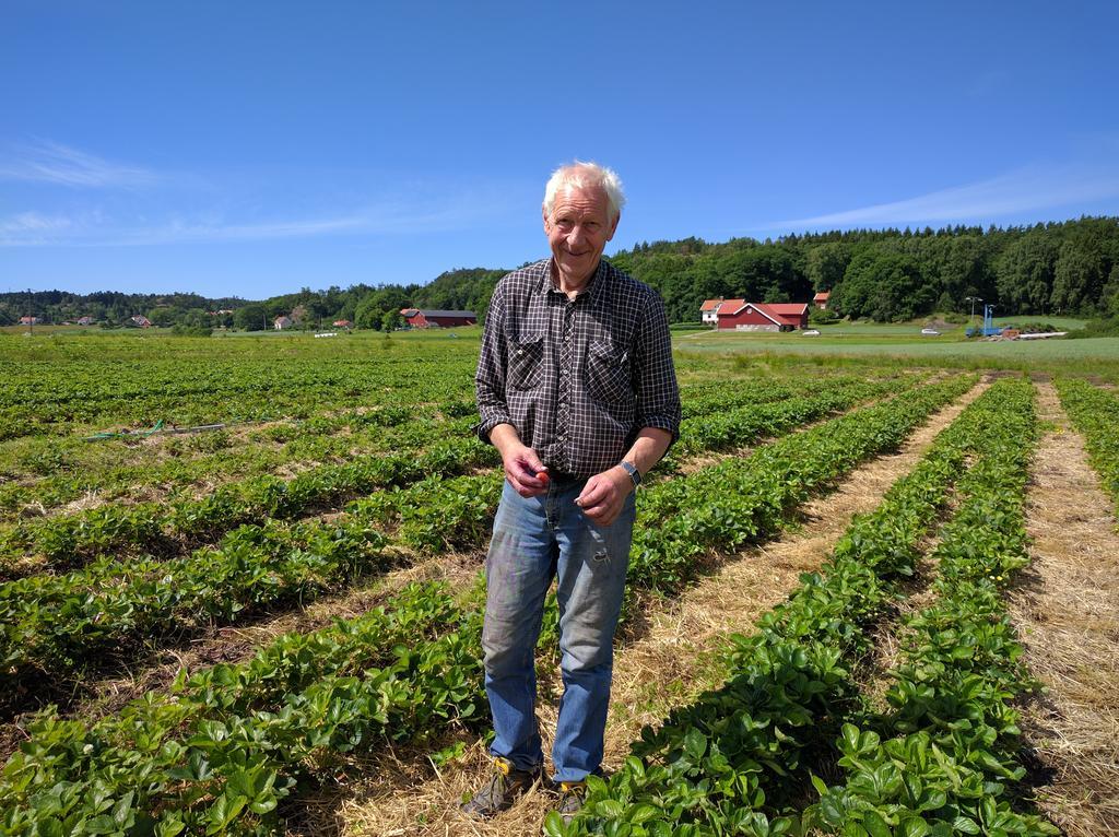 Lekanders Baer & Boende Tyfta Kültér fotó